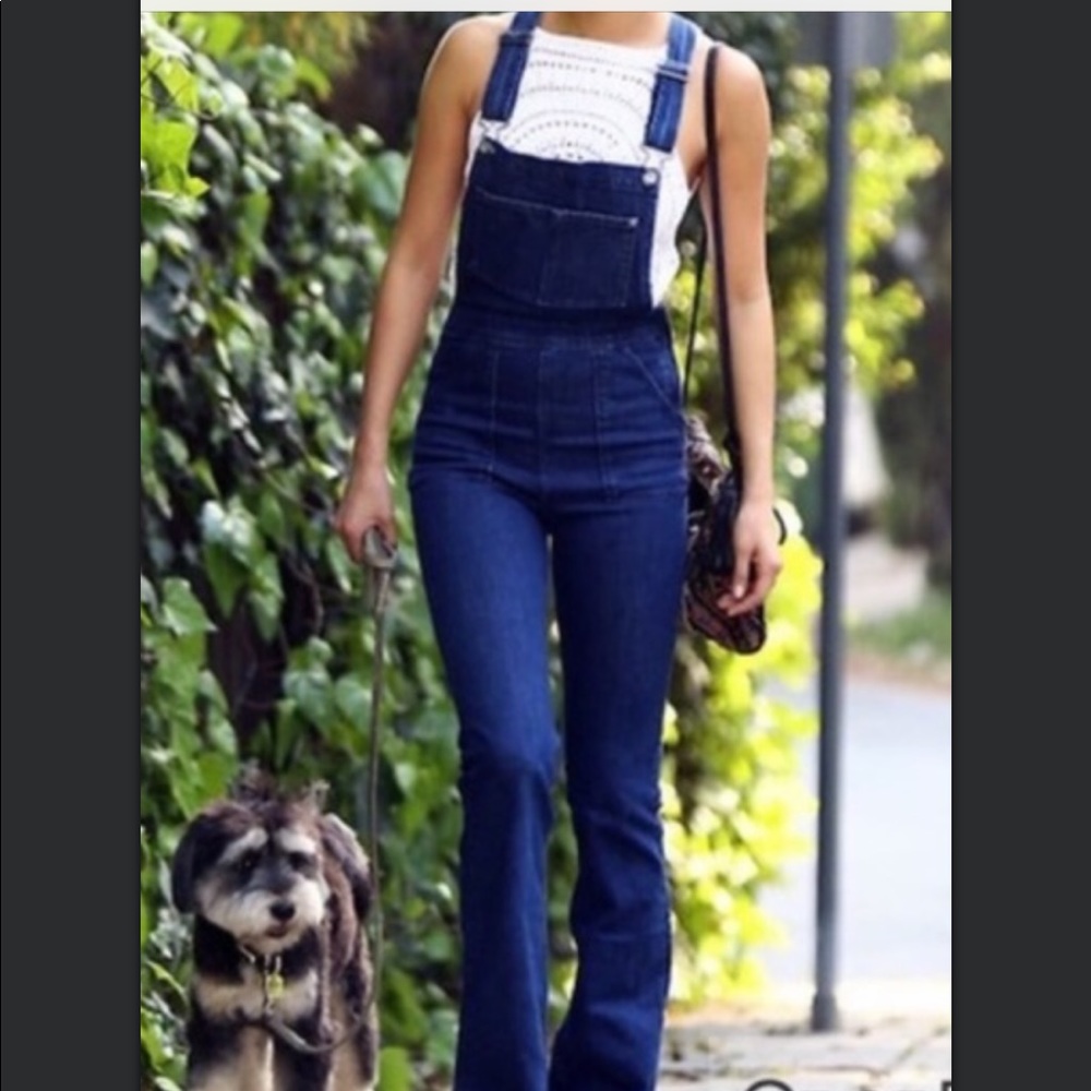 NWT Coachella flare overalls